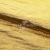 Текстильный материал "Диско"#1805 с покрытием РЕТ, 40гр/м2, 100% полиэстер, цв.5-золото - купить в Стерлитамаке. Цена 412.36 руб.