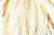 Тесьма декоративная "Шнур-косичка" - купить в Стерлитамаке. Цена: 2.31 руб.