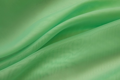 Портьерный капрон 15-6123, 47 гр/м2, шир.300см, цвет св.зелёный - купить в Стерлитамаке. Цена 137.27 руб.