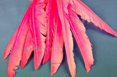 Декоративный Пучок из перьев, перо 25см/розовый - купить в Стерлитамаке. Цена: 14.54 руб.
