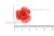 Украшение "Розы малые №1" 20мм - купить в Стерлитамаке. Цена: 32.82 руб.