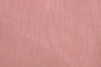 Органза однотонная "Амелия" С19 (Розовый) 280 см - купить в Стерлитамаке. Цена 303.09 руб.