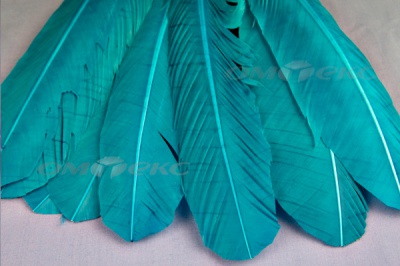 Декоративный Пучок из перьев, перо 24см/голубой - купить в Стерлитамаке. Цена: 12.19 руб.