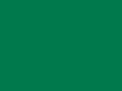 85 см № 258 яр. зеленый спираль (G) сорт-2 - купить в Стерлитамаке. Цена: 16.97 руб.