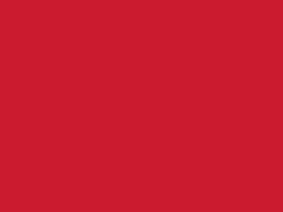 Сетка подкладочная красный, 60г/м2 (10 м/кг) - купить в Стерлитамаке. Цена 894.77 руб.