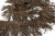 008-коричневый, Бахрома арт.001 шир.10см (упак.12+/-0,5м) - купить в Стерлитамаке. Цена: 1 017.33 руб.