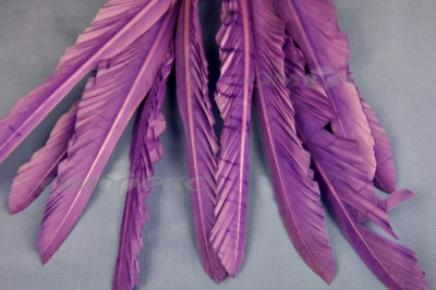 Декоративный Пучок из перьев, перо 25см/фиолетовый - купить в Стерлитамаке. Цена: 12.19 руб.