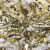 Трикотажное полотно, Сетка с пайетками, шир.130 см, #315, цв.-белый/золото - купить в Стерлитамаке. Цена 693.39 руб.