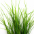 Трава искусственная -3, шт (осока 50 см/8 см  5 листов)				 - купить в Стерлитамаке. Цена: 124.17 руб.