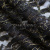 Кружевное полотно XD LACE 1-4, 80 гр/м2, шир.150см, цвет чёрный - купить в Стерлитамаке. Цена 245.94 руб.